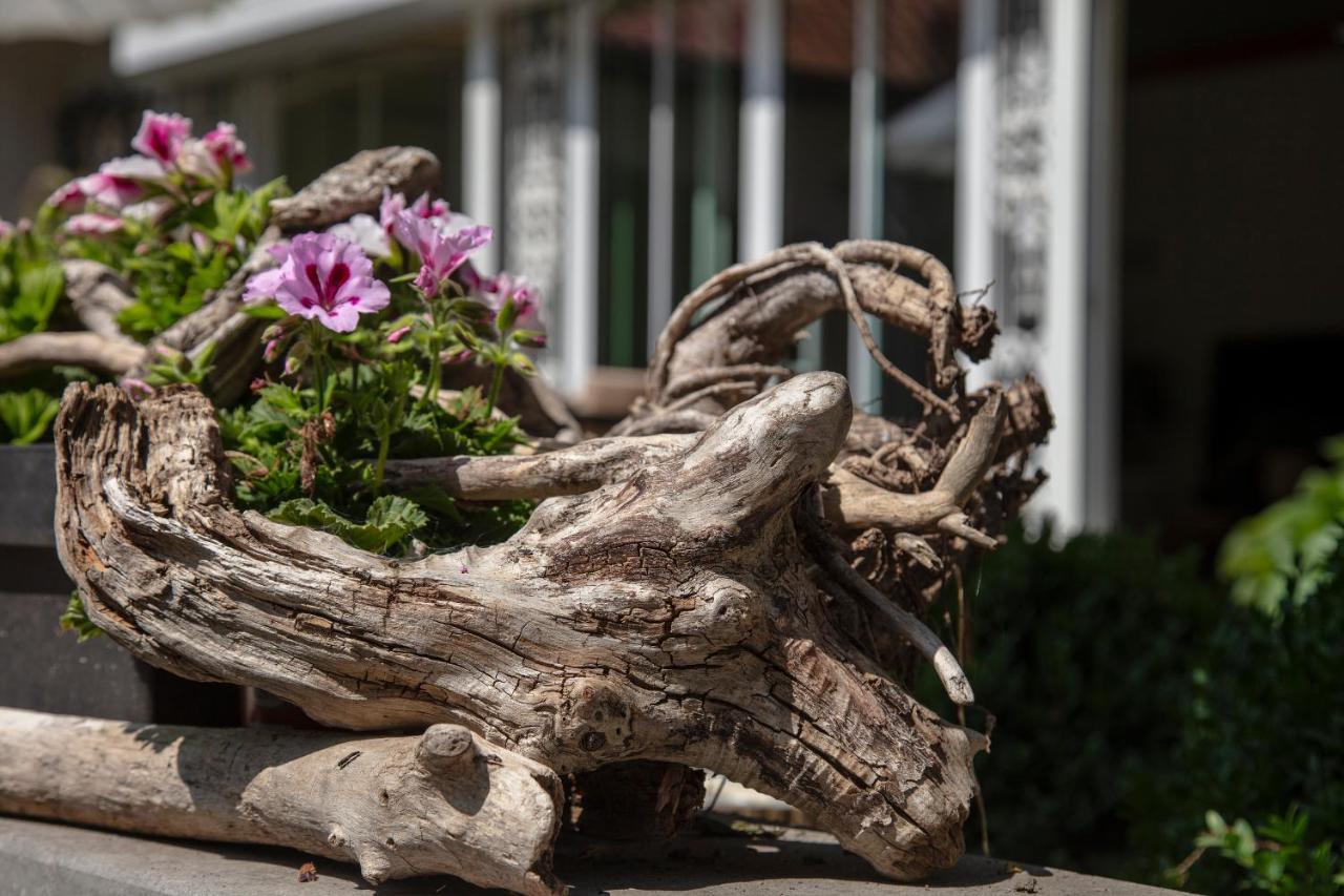 Boutique B&B De Pastory Zuiddorpe Bagian luar foto